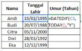 Cara menghitung umur di Excel menggunakan rumus DATEDIF secara otomatis